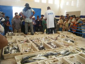 Fish Market